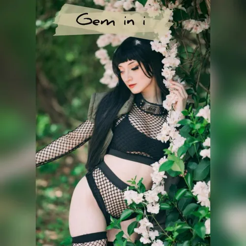 Gem in i